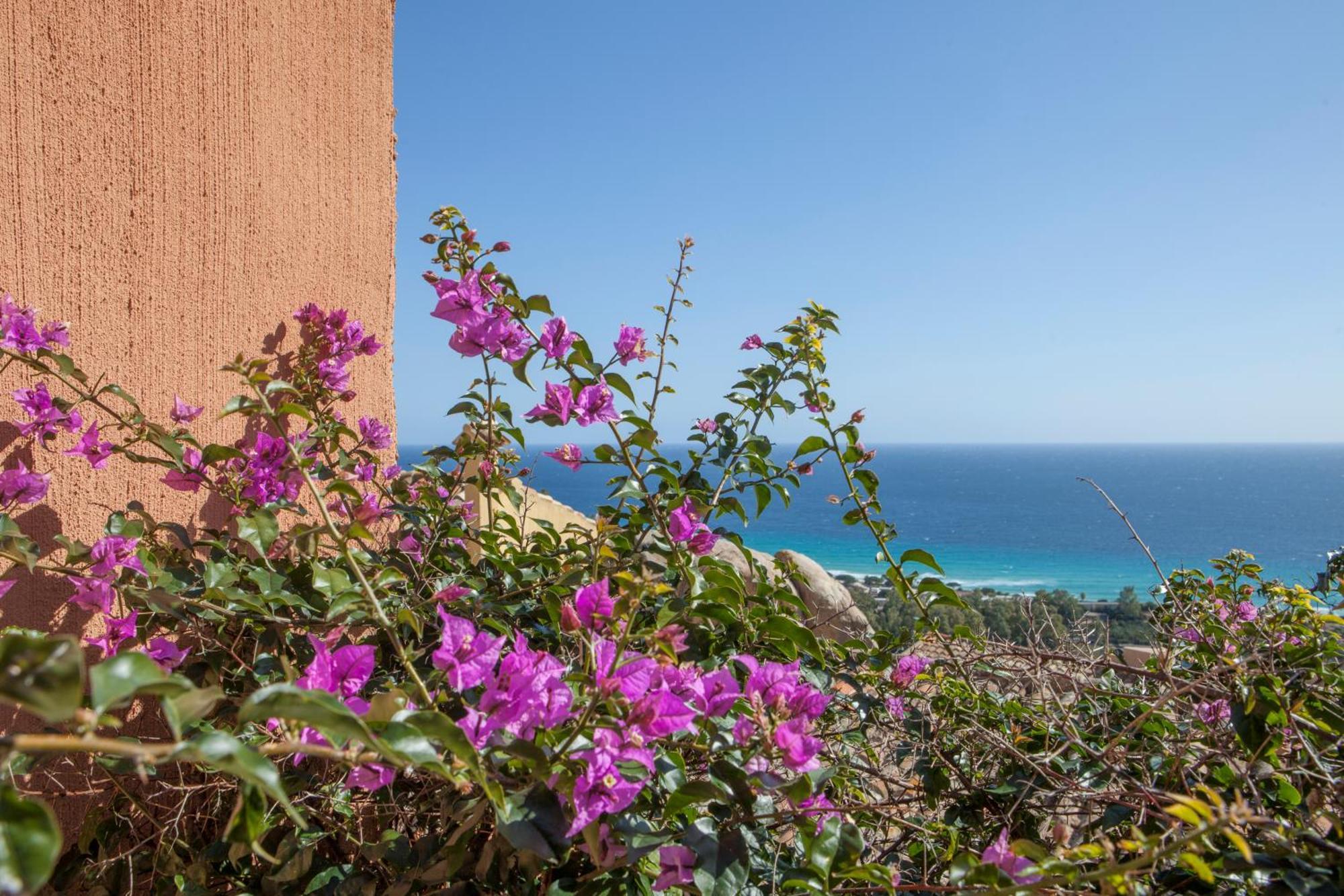 Apartment I Nidi Dei Cormorani Costa Rei Eksteriør bilde